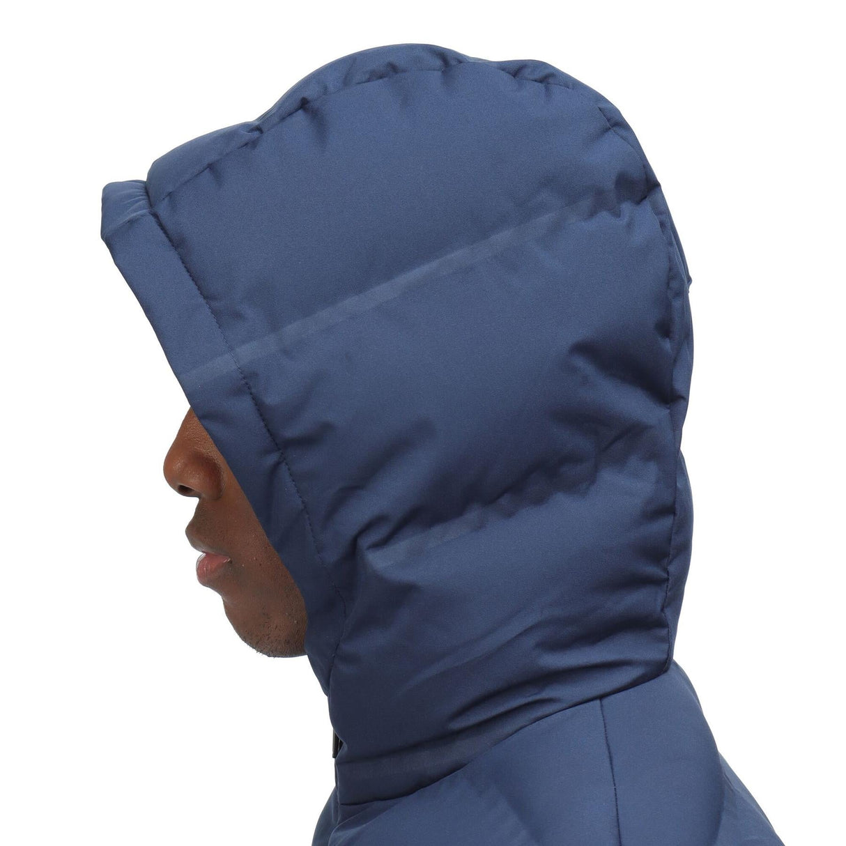 Regatta Mens Thermisto Water Repellent Durable Hooded Padded Puffer Jacket - Just £47.99! Shop now at Warwickshire Clothing.