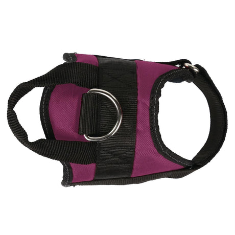 Regatta Reflective Adjustable Comfy Strong Dog Harness Washable S M L - Just £16.99! Shop now at Warwickshire Clothing.