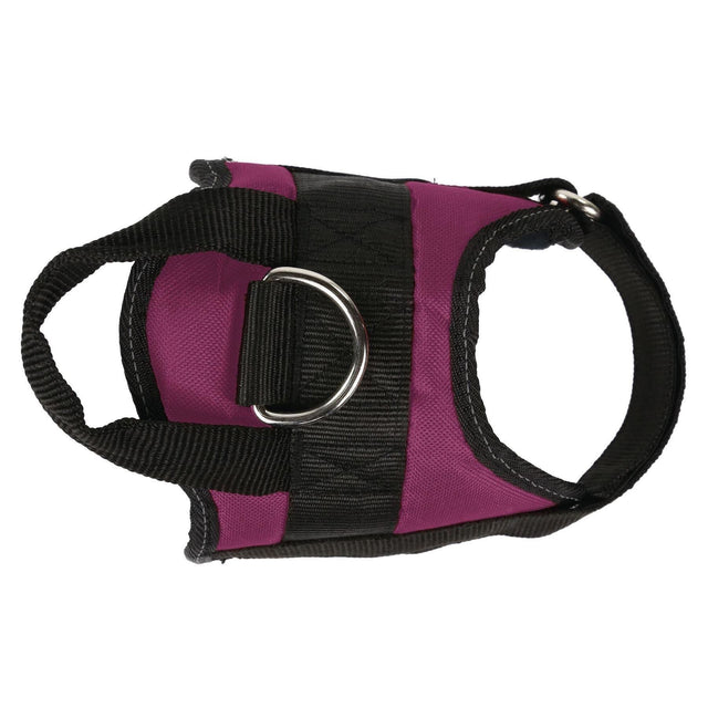 Regatta Reflective Adjustable Comfy Strong Dog Harness Washable S M L - Just £16.99! Shop now at Warwickshire Clothing.