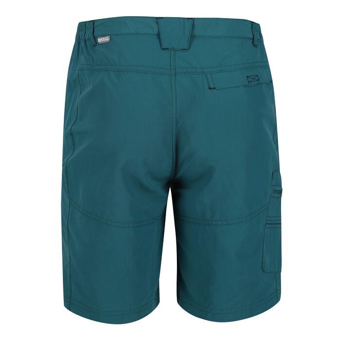 Regatta Leesville II Mens Shorts - Just $14.99! Shop now at Warwickshire Clothing. Free Dellivery.