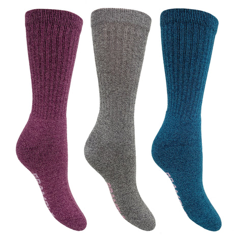 Bramble - Ladies All Terrain Socks with Biome Linseed | 3 Pairs - Just £11.99! Shop now at Warwickshire Clothing.