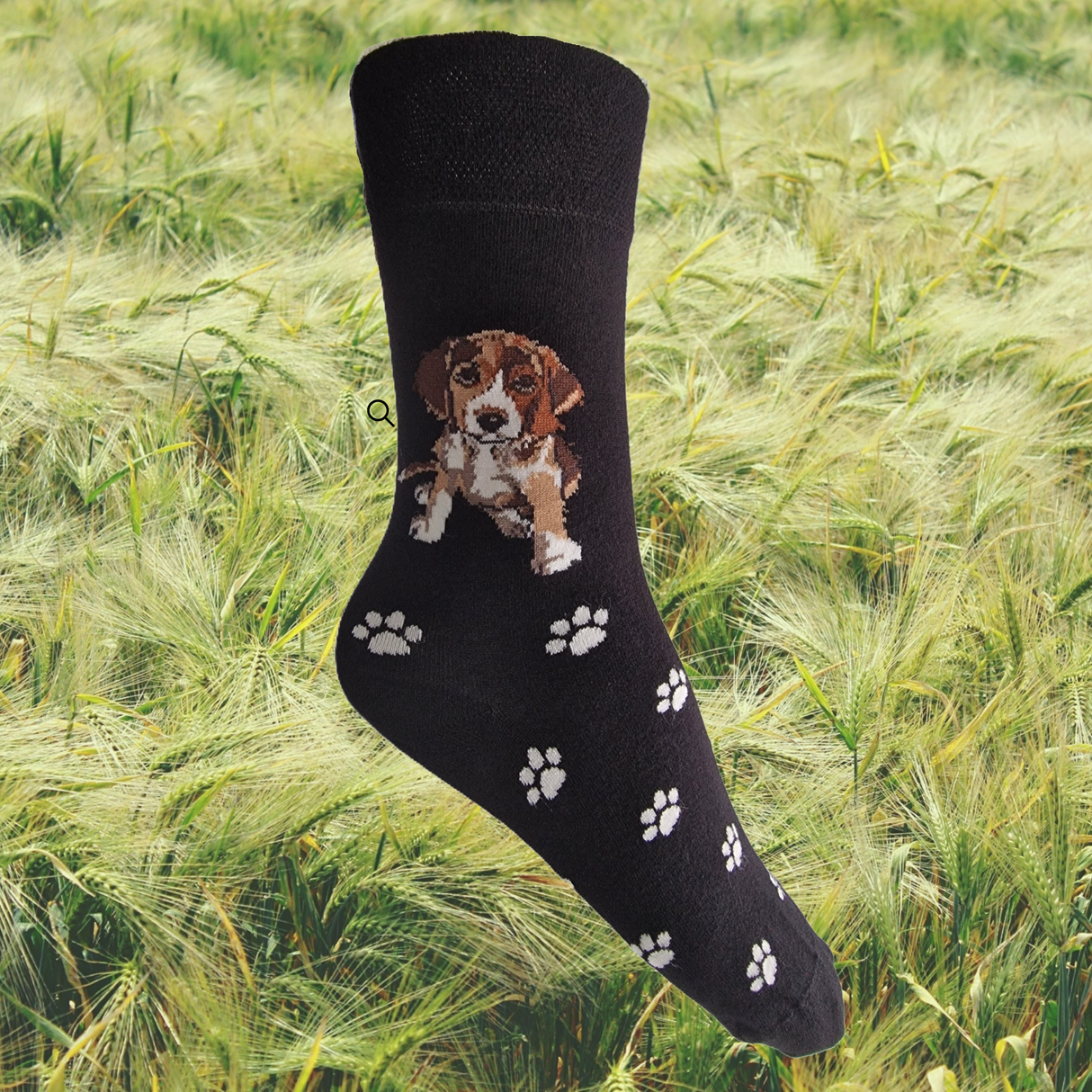 Hazy Blue Womens Dog Socks Bamboo Blend Size 4 to 8 - Just £5.99! Shop now at Warwickshire Clothing.