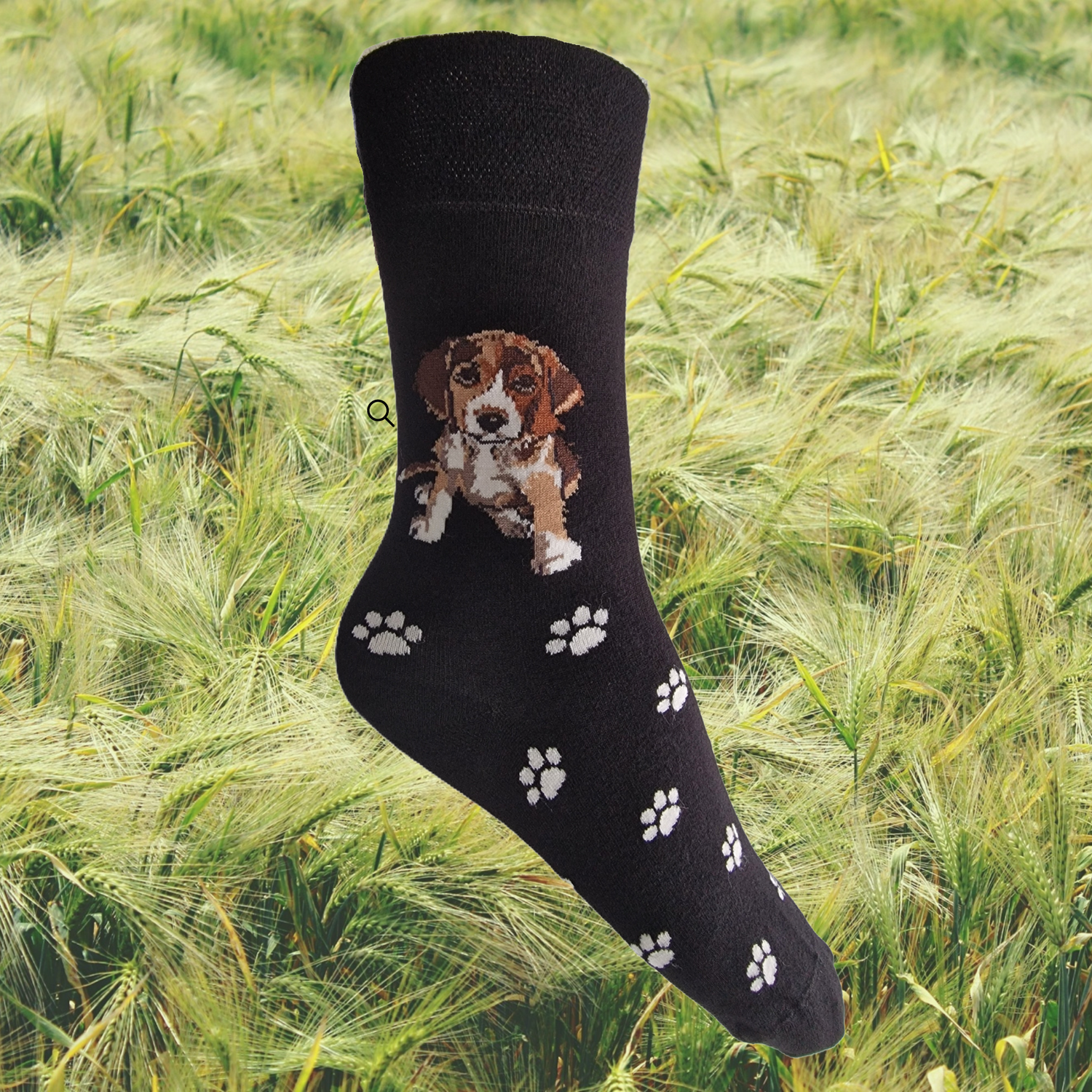Hazy Blue Womens Dog Socks Bamboo Blend Size 4 to 8 - Just £5.99! Shop now at Warwickshire Clothing.
