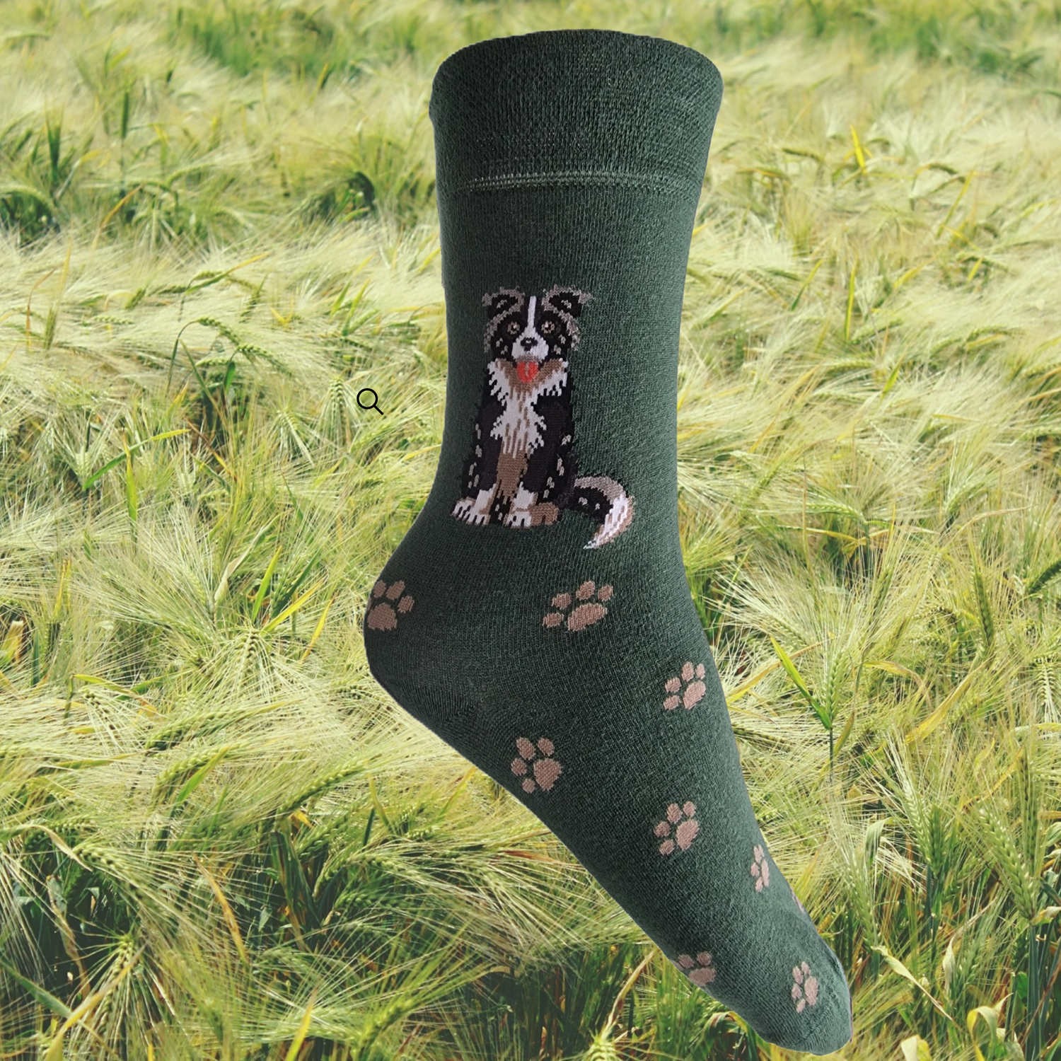 Hazy Blue Womens Dog Socks Bamboo Blend Size 4 to 8 - Just £5.99! Shop now at Warwickshire Clothing.