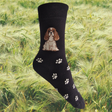 Hazy Blue Womens Dog Socks Bamboo Blend Size 4 to 8 - Just £5.99! Shop now at Warwickshire Clothing.
