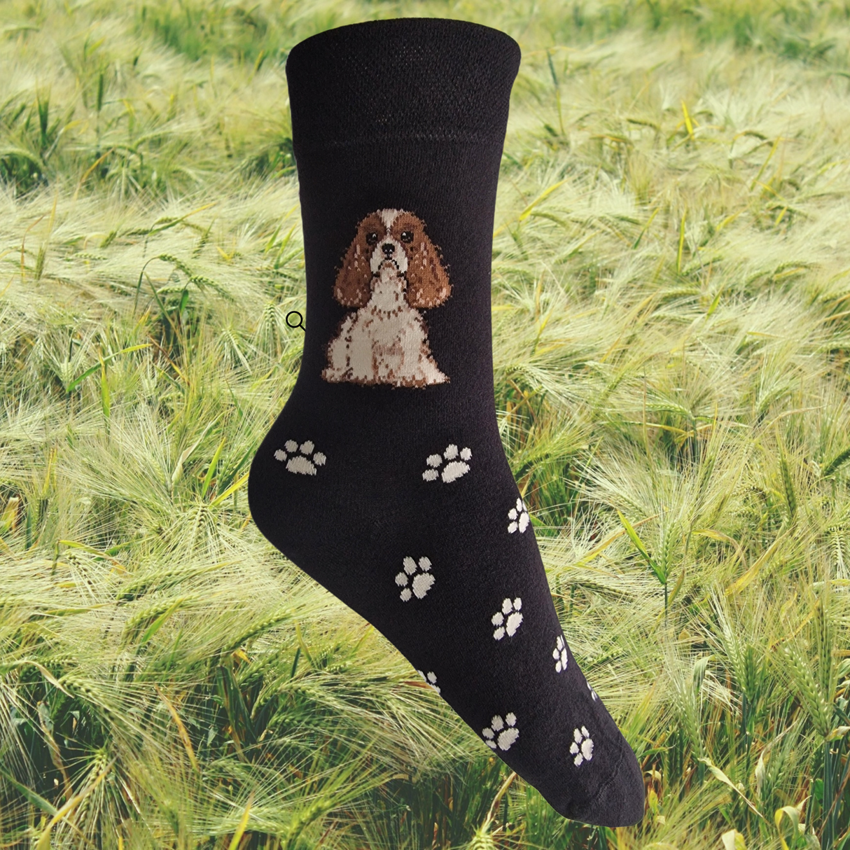 Hazy Blue Womens Dog Socks Bamboo Blend Size 4 to 8 - Just £5.99! Shop now at Warwickshire Clothing.