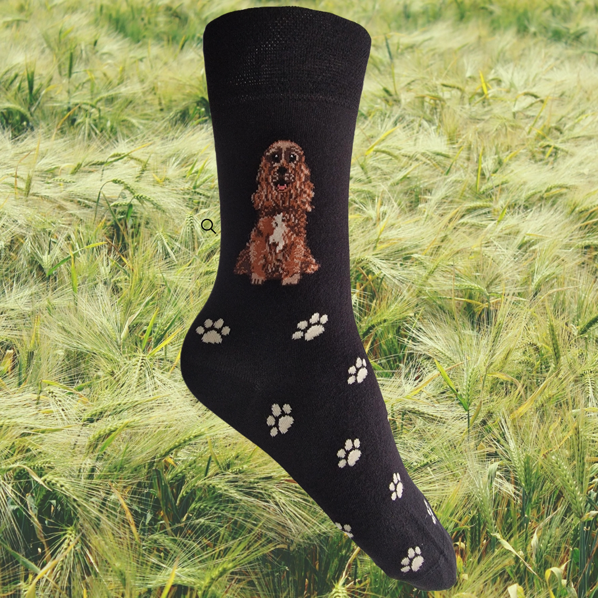 Hazy Blue Womens Dog Socks Bamboo Blend Size 4 to 8 - Just £5.99! Shop now at Warwickshire Clothing.