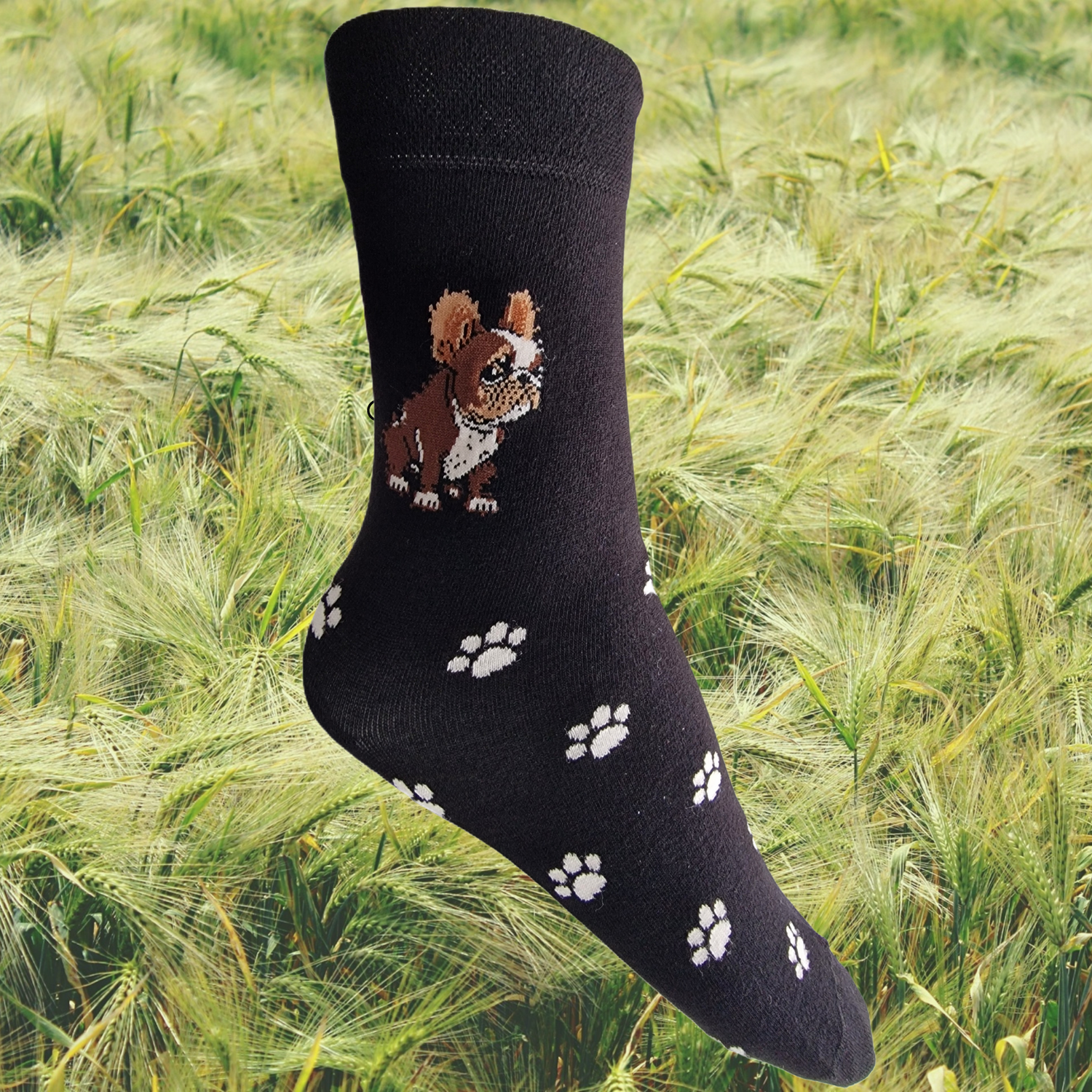Hazy Blue Womens Dog Socks Bamboo Blend Size 4 to 8 - Just £5.99! Shop now at Warwickshire Clothing.
