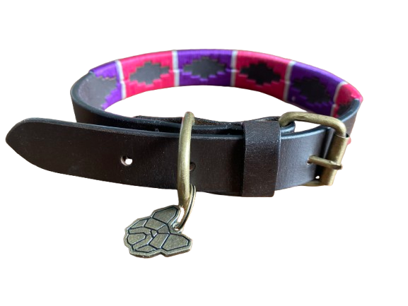 Hazy Blue Dog Collar leather with waxed thread stitching - Just £14.99! Shop now at Warwickshire Clothing.