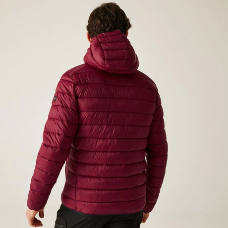 Regatta Men's Hooded Marizion Padded Jacket