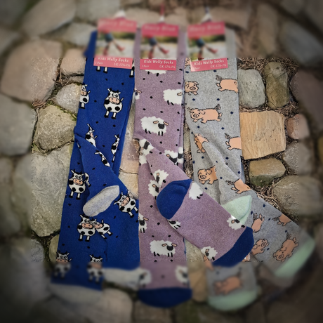 Hazy Blue Kids Welly Socks: Cozy Comfort for Little Adventurers - Just £5.99! Shop now at Warwickshire Clothing.