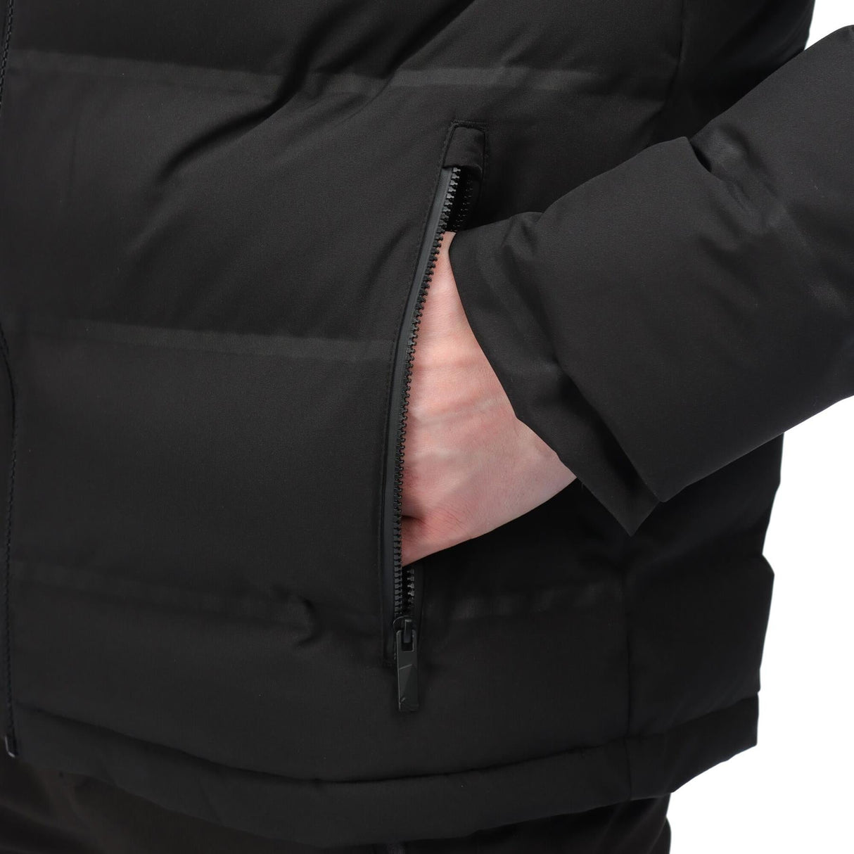 Regatta Mens Thermisto Water Repellent Durable Hooded Padded Puffer Jacket - Just £47.99! Shop now at Warwickshire Clothing.