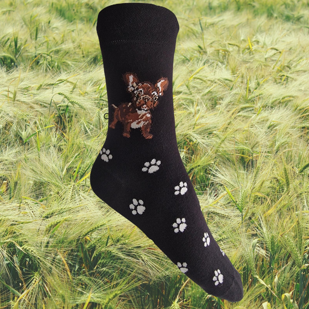 Hazy Blue Womens Dog Socks Bamboo Blend Size 4 to 8 - Just £5.99! Shop now at Warwickshire Clothing.