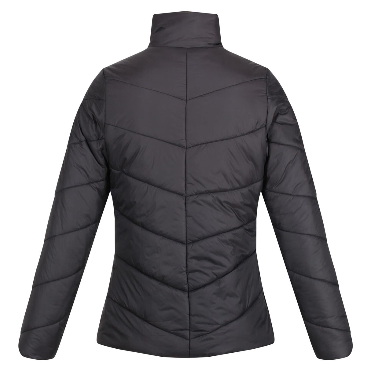 Regatta Womens Freezeway IV Padded Insulated Coat - Just £29.99! Shop now at Warwickshire Clothing.
