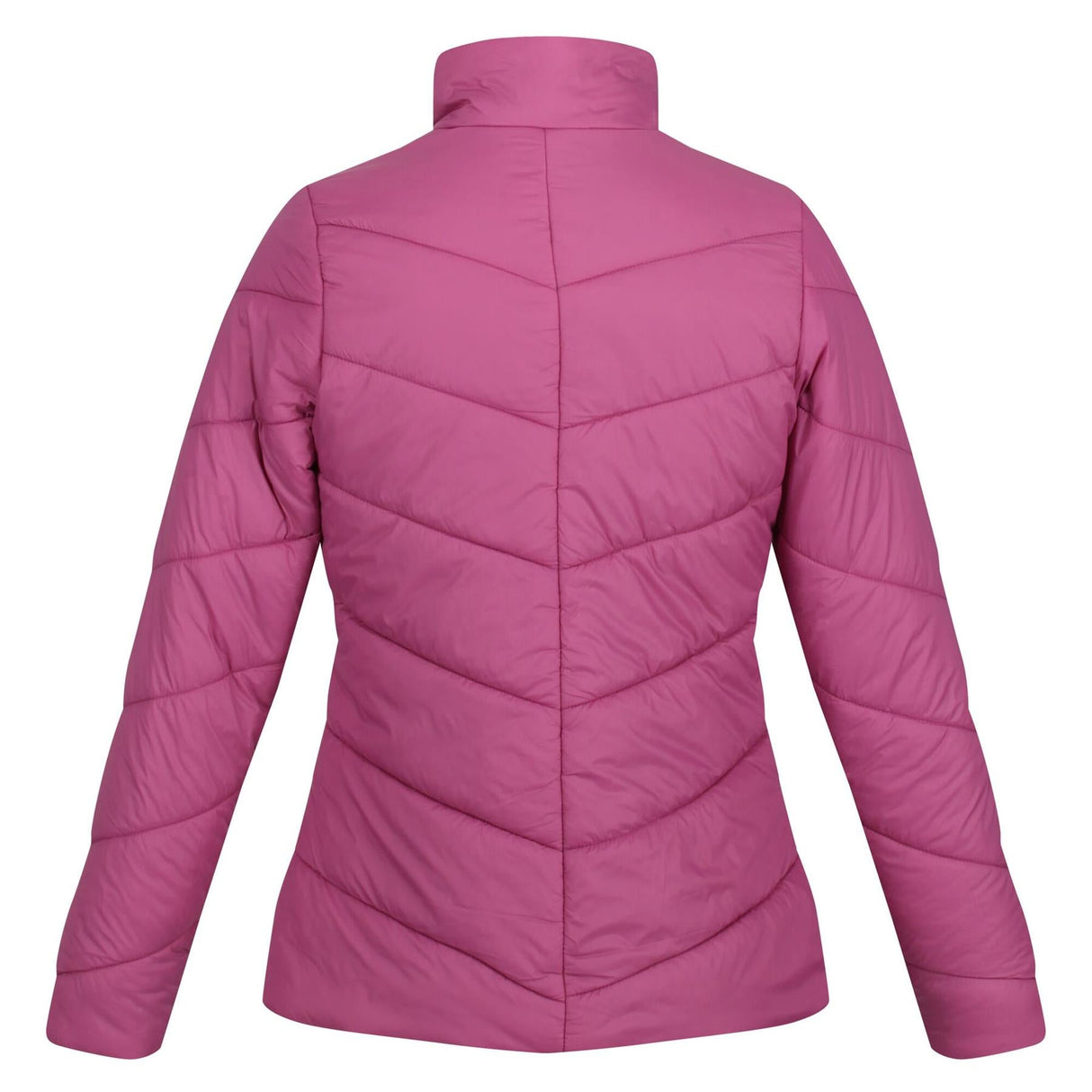 Regatta Womens Freezeway IV Padded Insulated Coat - Just £29.99! Shop now at Warwickshire Clothing.