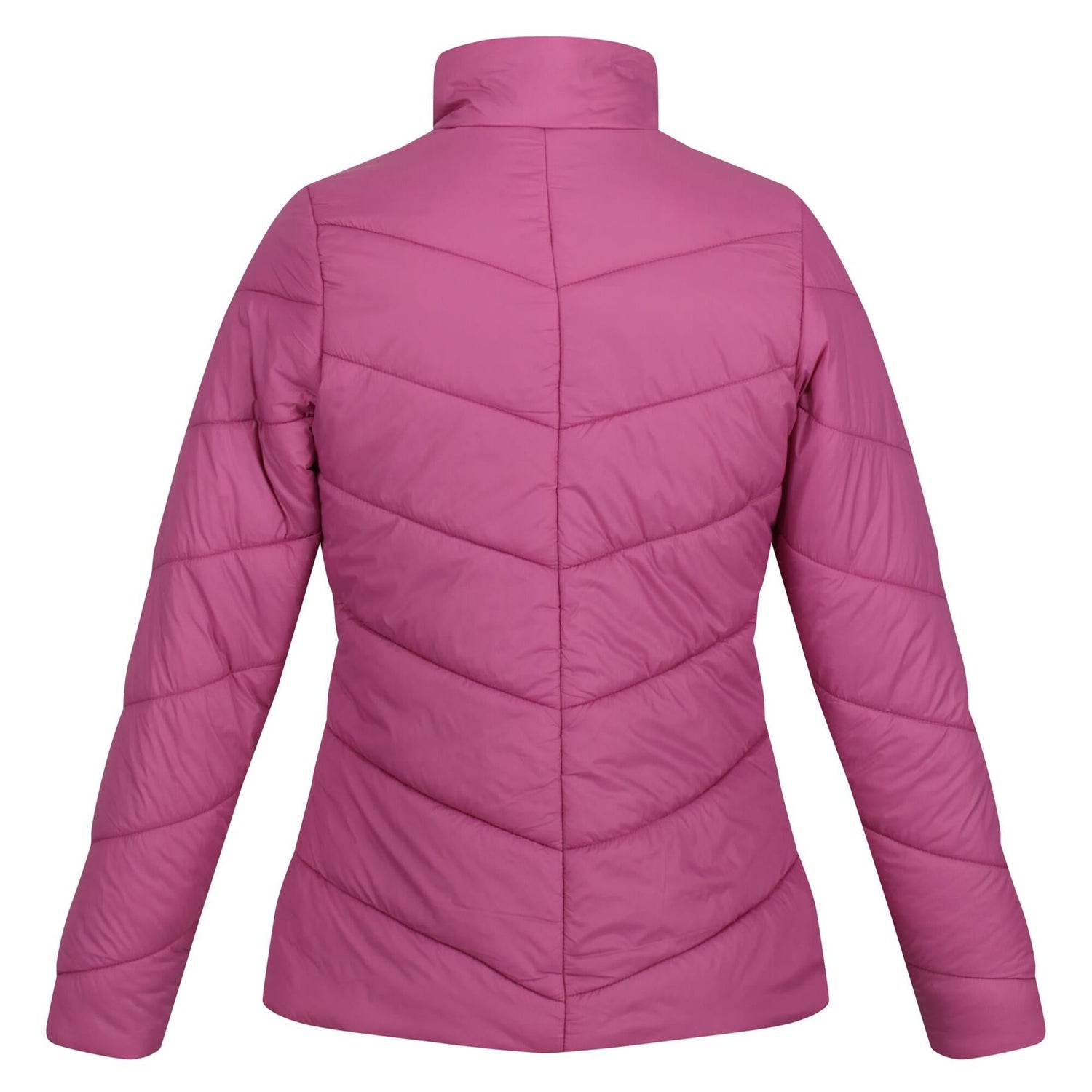 Regatta Womens Freezeway IV Padded Insulated Coat - Just £29.99! Shop now at Warwickshire Clothing.