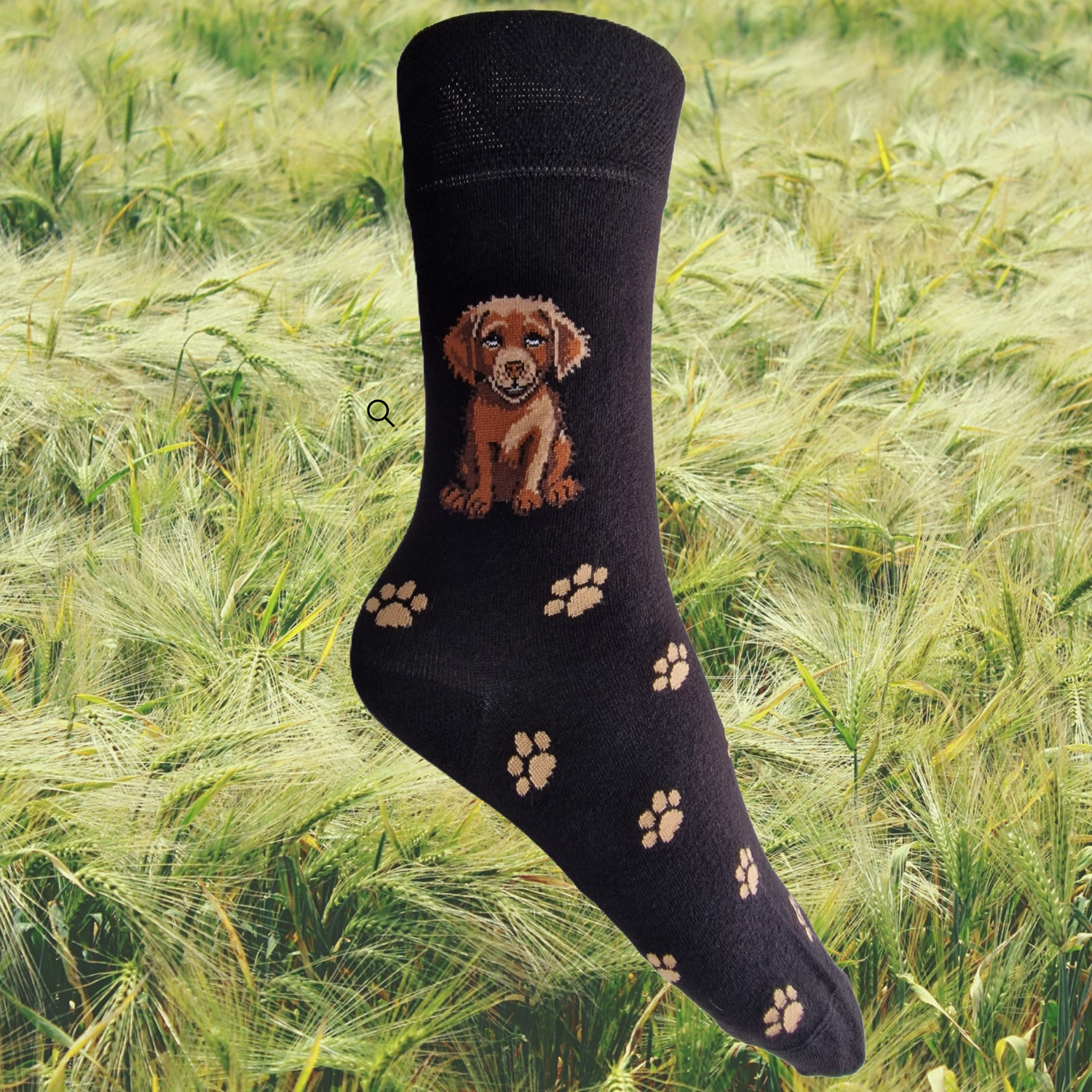 Hazy Blue Womens Dog Socks Bamboo Blend Size 4 to 8 - Just £5.99! Shop now at Warwickshire Clothing.