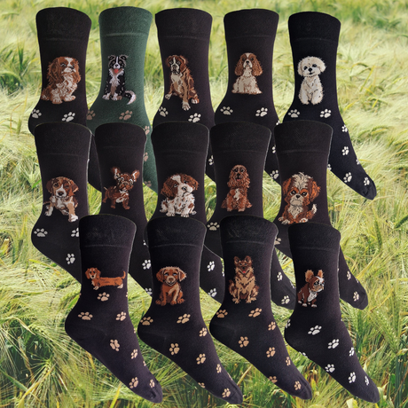 Hazy Blue Womens Dog Socks Bamboo Blend Size 4 to 8 - Just $3.99! Shop now at Warwickshire Clothing. Free Dellivery.