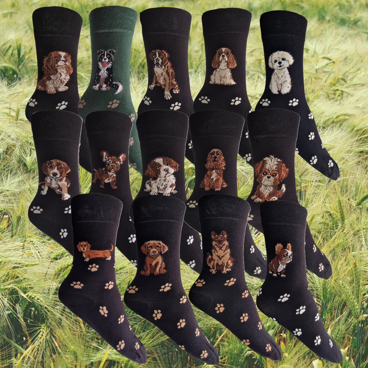 Hazy Blue Womens Dog Socks Bamboo Blend Size 4 to 8 - Just £5.99! Shop now at Warwickshire Clothing.