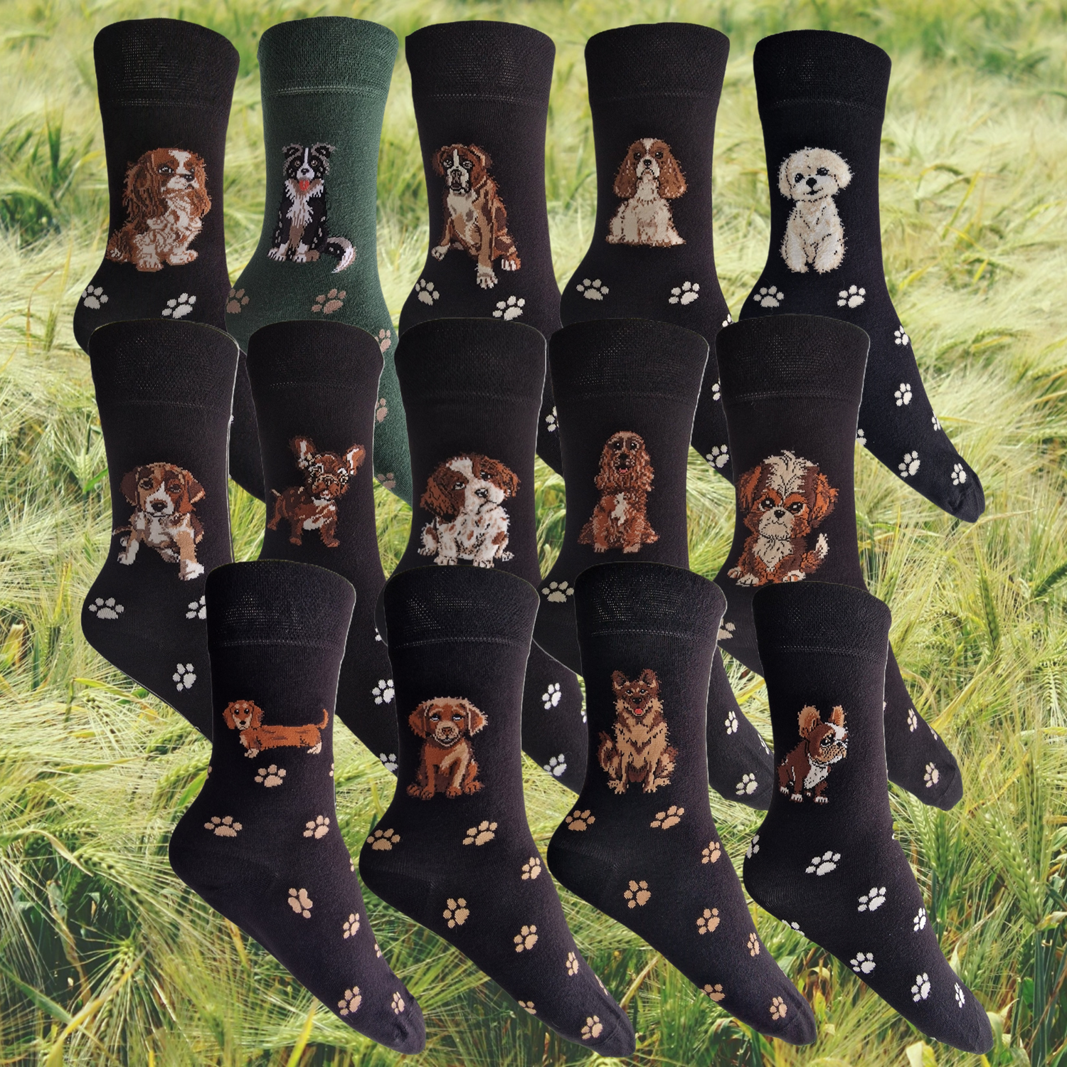 Hazy Blue Womens Dog Socks Bamboo Blend Size 4 to 8 - Just £5.99! Shop now at Warwickshire Clothing.