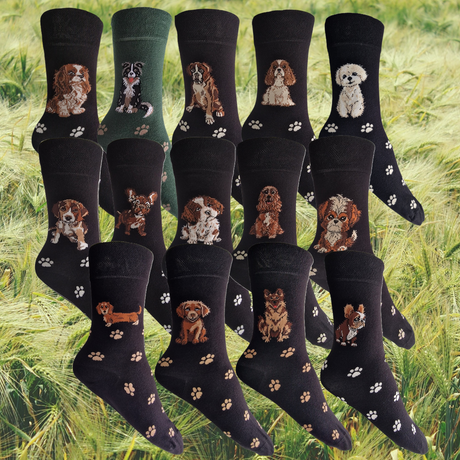 Hazy Blue Womens Dog Socks Bamboo Blend Size 4 to 8 - Just £5.99! Shop now at Warwickshire Clothing.