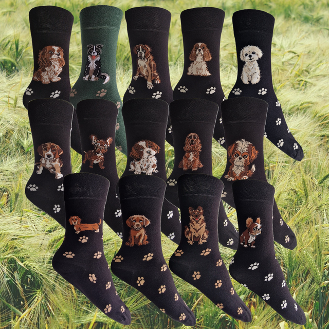 Hazy Blue Womens Dog Socks Bamboo Blend Size 4 to 8 - Just £5.99! Shop now at Warwickshire Clothing.