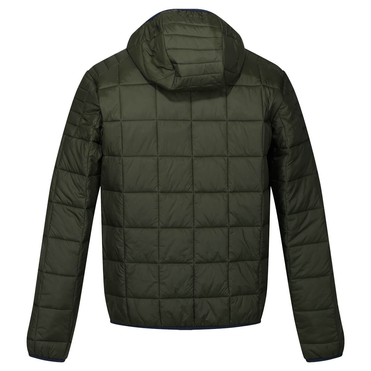Regatta Mens Danar Water Repellent Warmloft Hooded Jacket - Just £29.99! Shop now at Warwickshire Clothing.