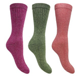 Bramble - Ladies All Terrain Socks | 3 Pairs - Just $9.99! Shop now at Warwickshire Clothing. Free Dellivery.