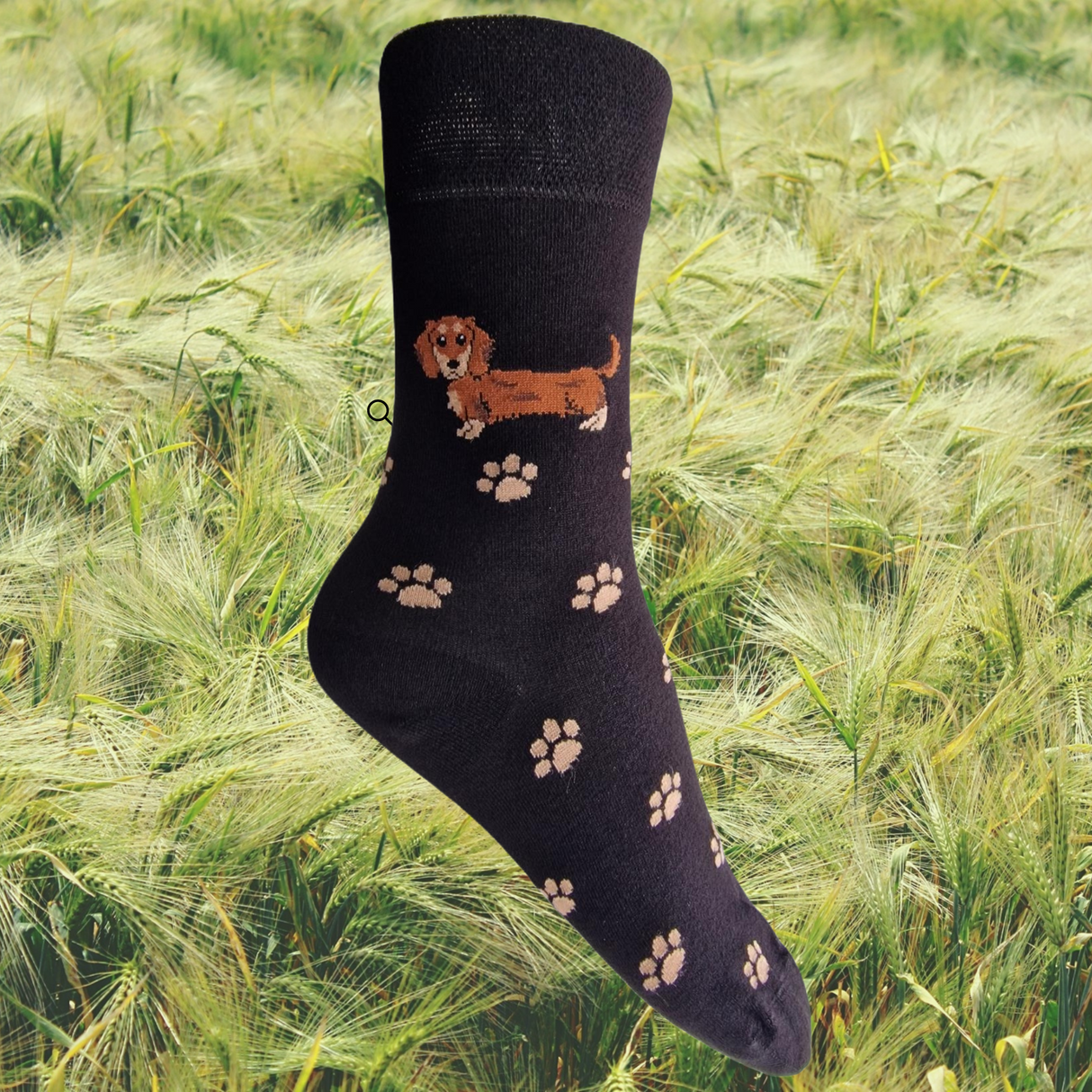 Hazy Blue Womens Dog Socks Bamboo Blend Size 4 to 8 - Just £5.99! Shop now at Warwickshire Clothing.