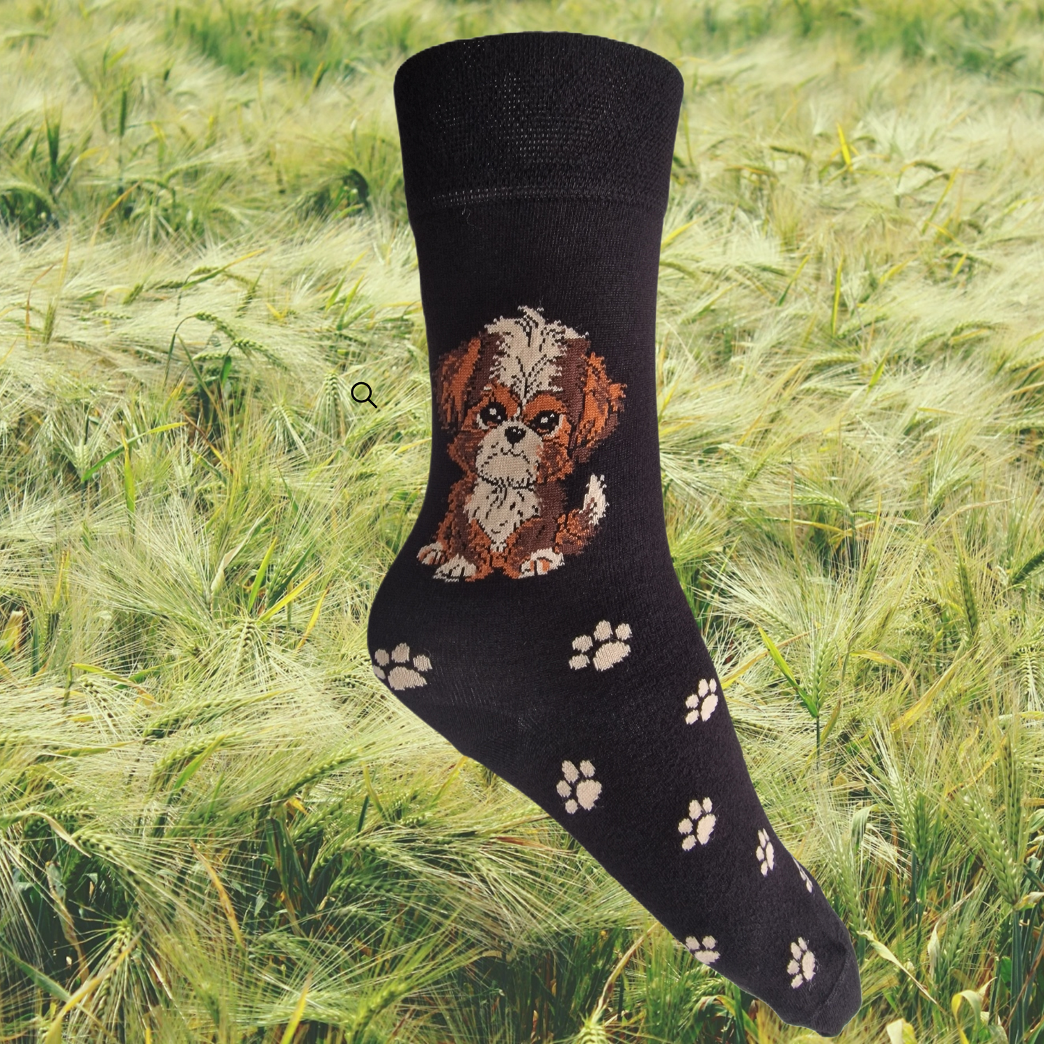 Hazy Blue Womens Dog Socks Bamboo Blend Size 4 to 8 - Just £5.99! Shop now at Warwickshire Clothing.