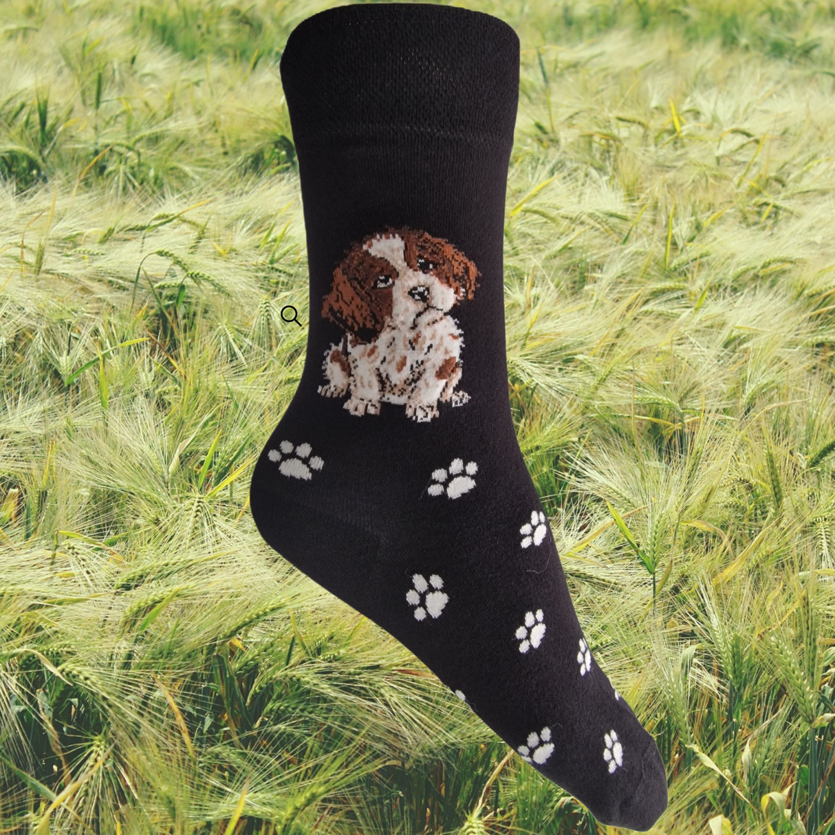 Hazy Blue Womens Dog Socks Bamboo Blend Size 4 to 8 - Just £5.99! Shop now at Warwickshire Clothing.