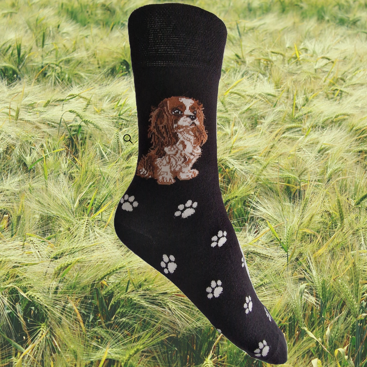 Hazy Blue Womens Dog Socks Bamboo Blend Size 4 to 8 - Just £5.99! Shop now at Warwickshire Clothing.