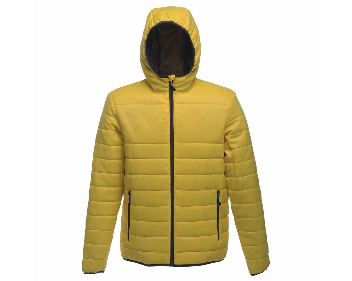 Regatta Mens Acadia Standout Packable High Vis Jacket - Premium clothing from Regatta - Just $14.99! Shop now at Warwickshire Clothing