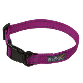 Regatta Comfort Dog Collar Pet Clip Adjustable Safety Clip - Just £5.99! Shop now at Warwickshire Clothing. 