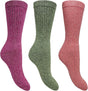 Bramble - Ladies All Terrain Socks with Biome Linseed | 3 Pairs - Just £11.99! Shop now at Warwickshire Clothing. 
