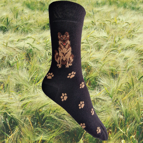 Hazy Blue Womens Dog Socks Bamboo Blend Size 4 to 8 - Just £6.99! Shop now at Warwickshire Clothing. 