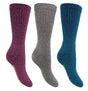 Bramble - Ladies All Terrain Socks with Biome Linseed | 3 Pairs - Premium clothing from Bramble - Just $9.99! Shop now at Warwickshire Clothing