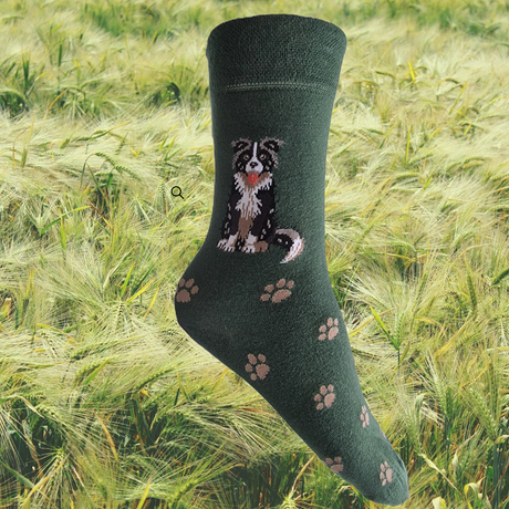 Hazy Blue Womens Dog Socks Bamboo Blend Size 4 to 8 - Just £6.99! Shop now at Warwickshire Clothing. 