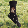 Hazy Blue Womens Dog Socks Bamboo Blend Size 4 to 8 - Just £6.99! Shop now at Warwickshire Clothing. 