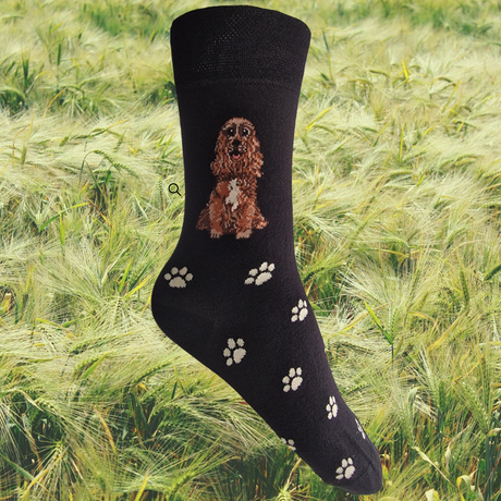 Hazy Blue Womens Dog Socks Bamboo Blend Size 4 to 8 - Just £5.99! Shop now at Warwickshire Clothing. 