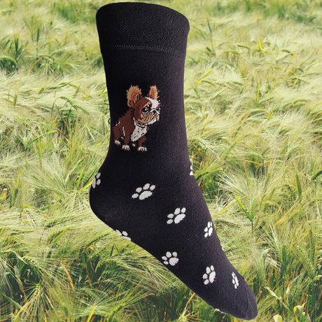 Hazy Blue Womens Dog Socks Bamboo Blend Size 4 to 8 - Just £5.99! Shop now at Warwickshire Clothing. 