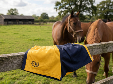 Hazy Blue Nelson Colour Block Shorts - Unisex Sports & Leisure