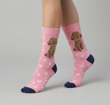 Pure Luxury Women's Bamboo Socks