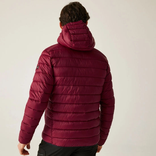 Regatta Men's Hooded Marizion Padded Jacket