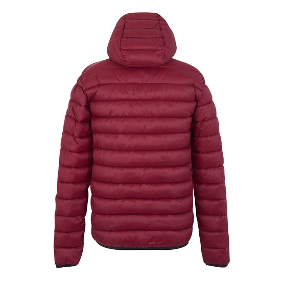 Regatta Men's Hooded Marizion Padded Jacket