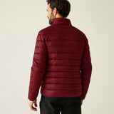 Regatta Men's Hooded Marizion Padded Jacket