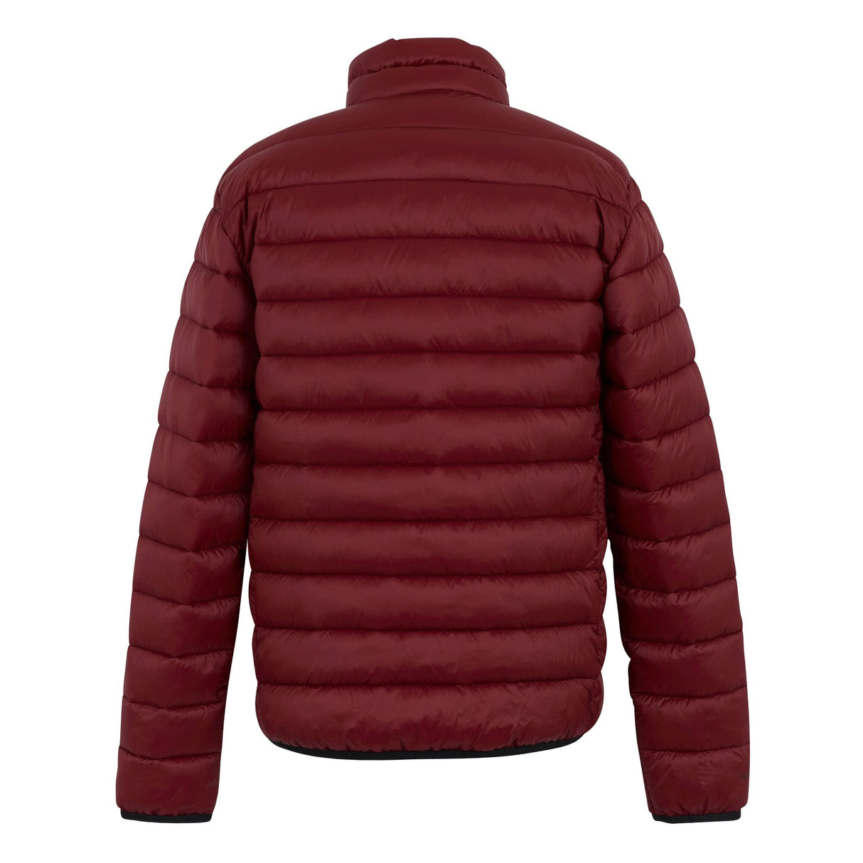 Regatta Men's Hooded Marizion Padded Jacket
