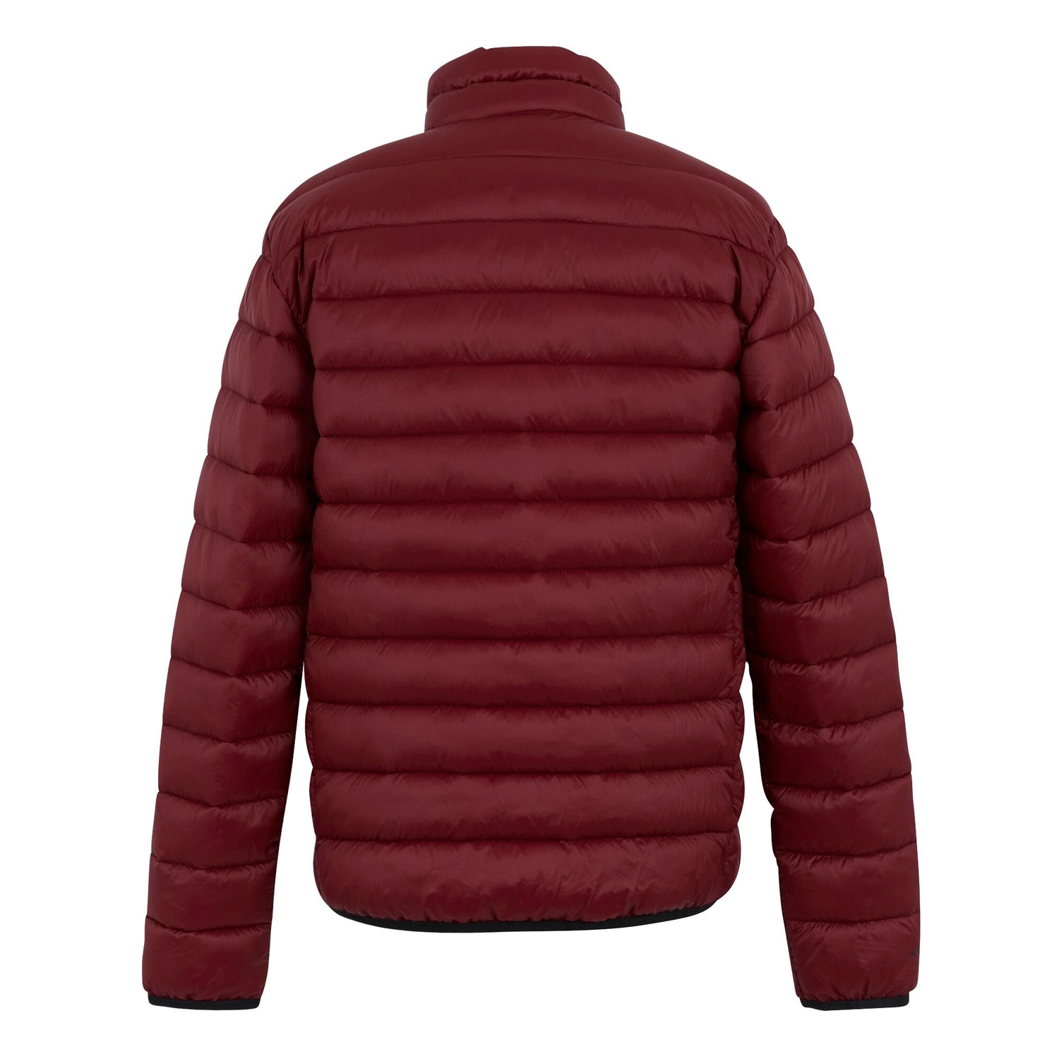 Regatta Men's Hooded Marizion Padded Jacket