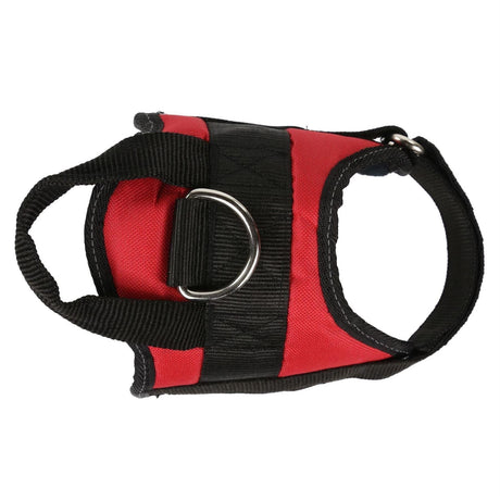 Regatta Reflective Adjustable Comfy Strong Dog Harness Washable S M L - Just £16.99! Shop now at Warwickshire Clothing. 