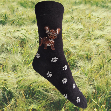 Hazy Blue Womens Dog Socks Bamboo Blend Size 4 to 8 - Just £5.99! Shop now at Warwickshire Clothing. 